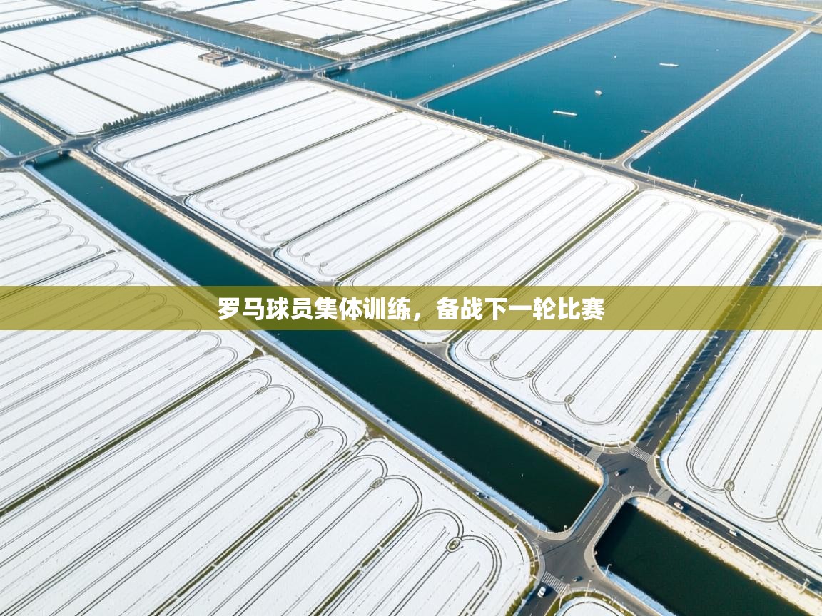 罗马球员集体训练，备战下一轮比赛